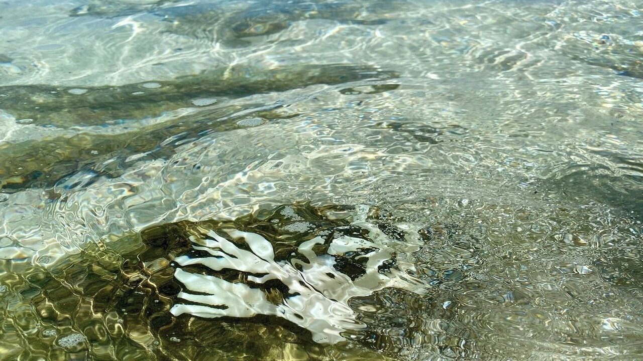Photo of Others in Kikai Island