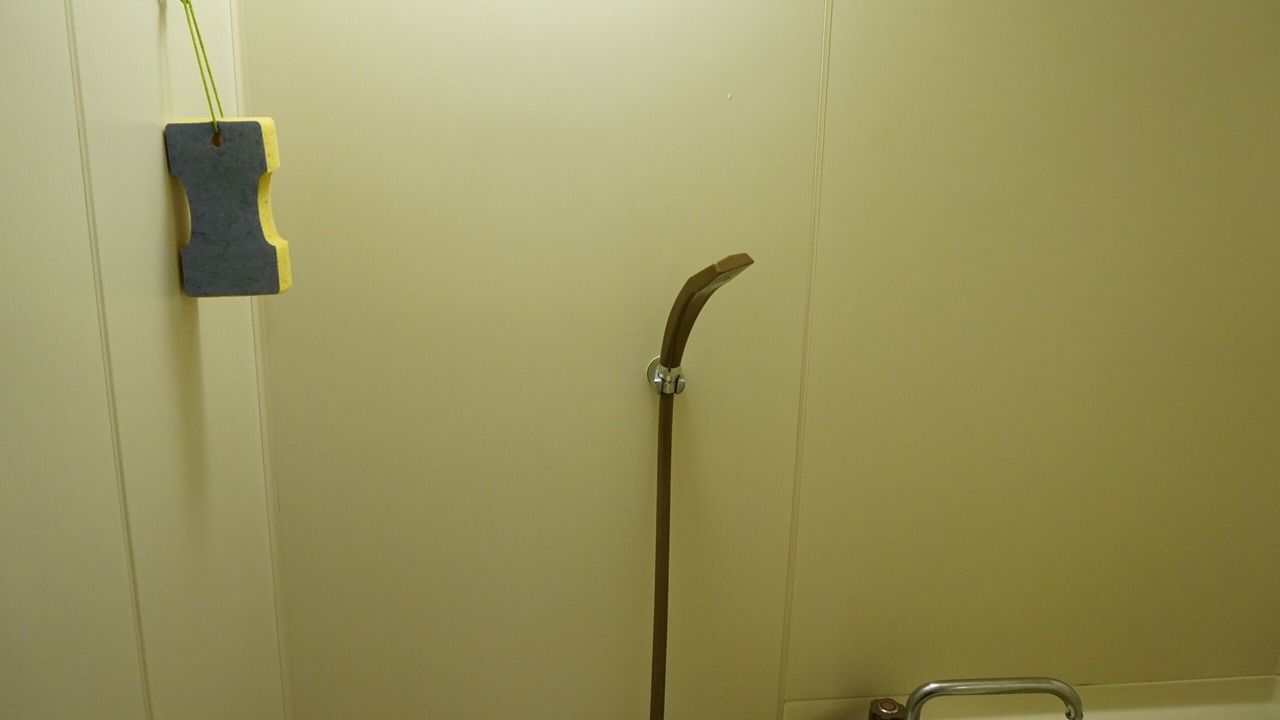 Photo of Bathroom in Naka Ward