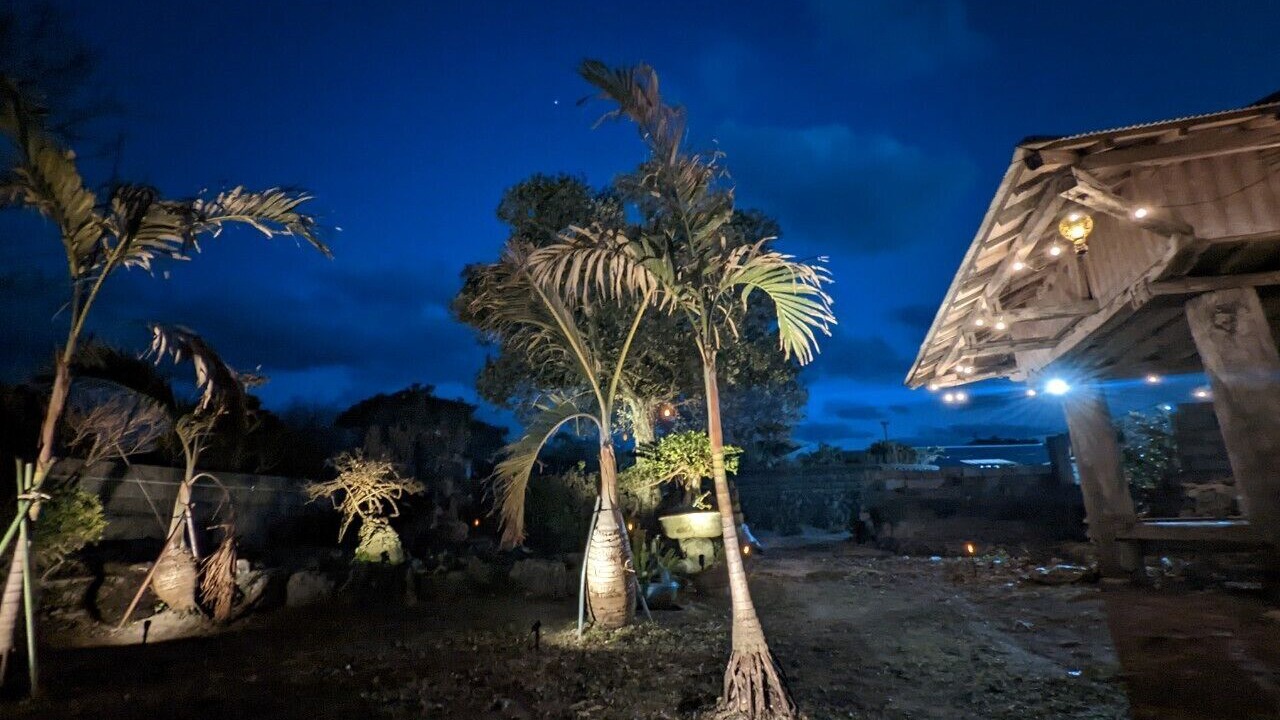 Photo of Others in Kikai Island