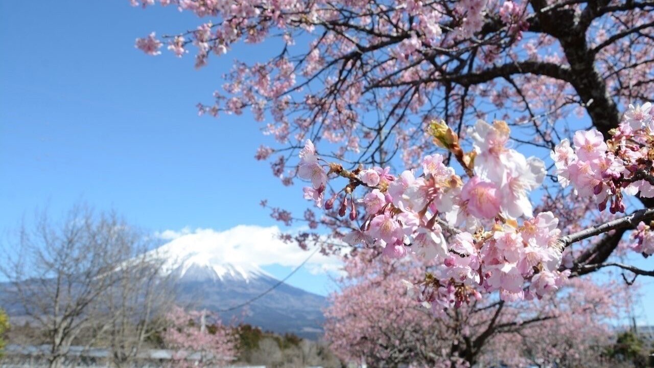 Photo of Others in Fujinomiya