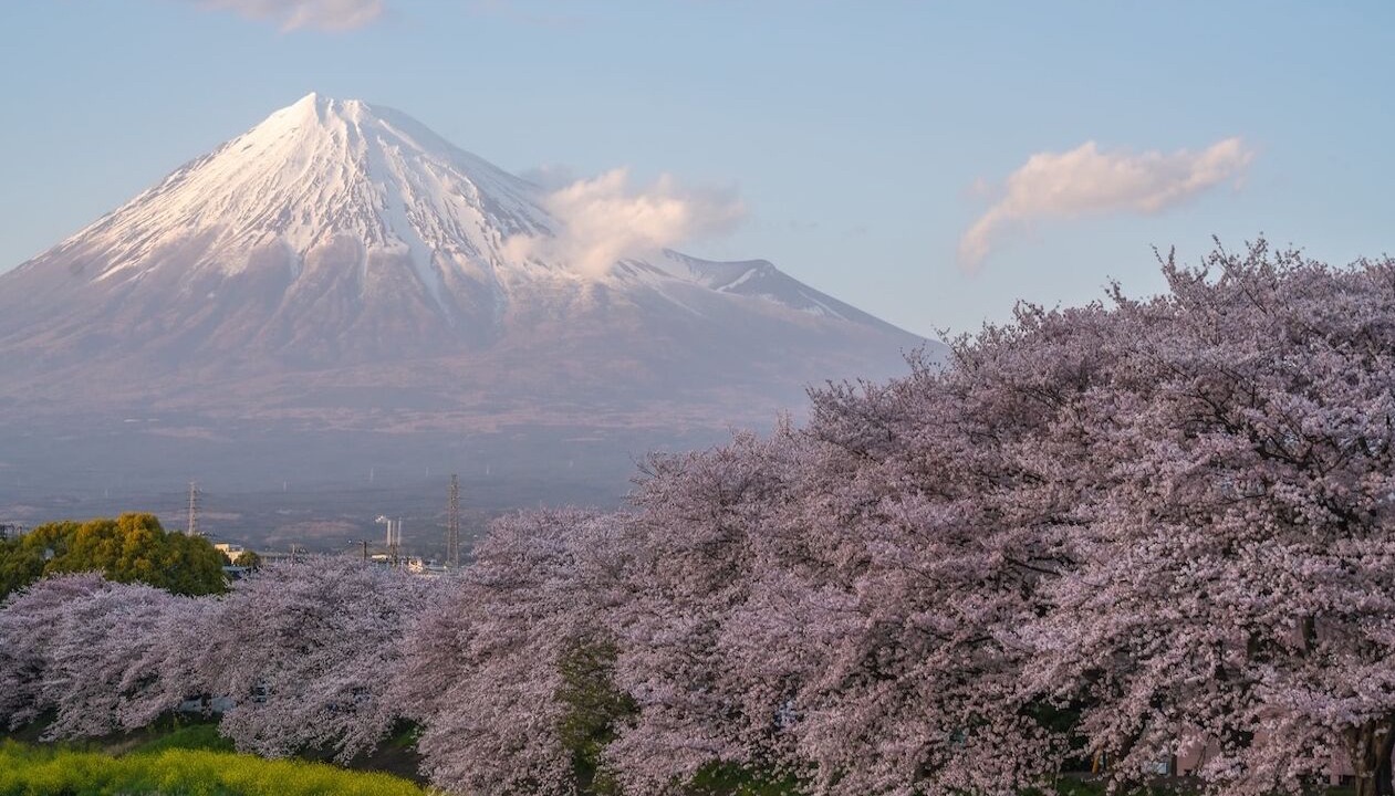 Photo of Others in Fujinomiya