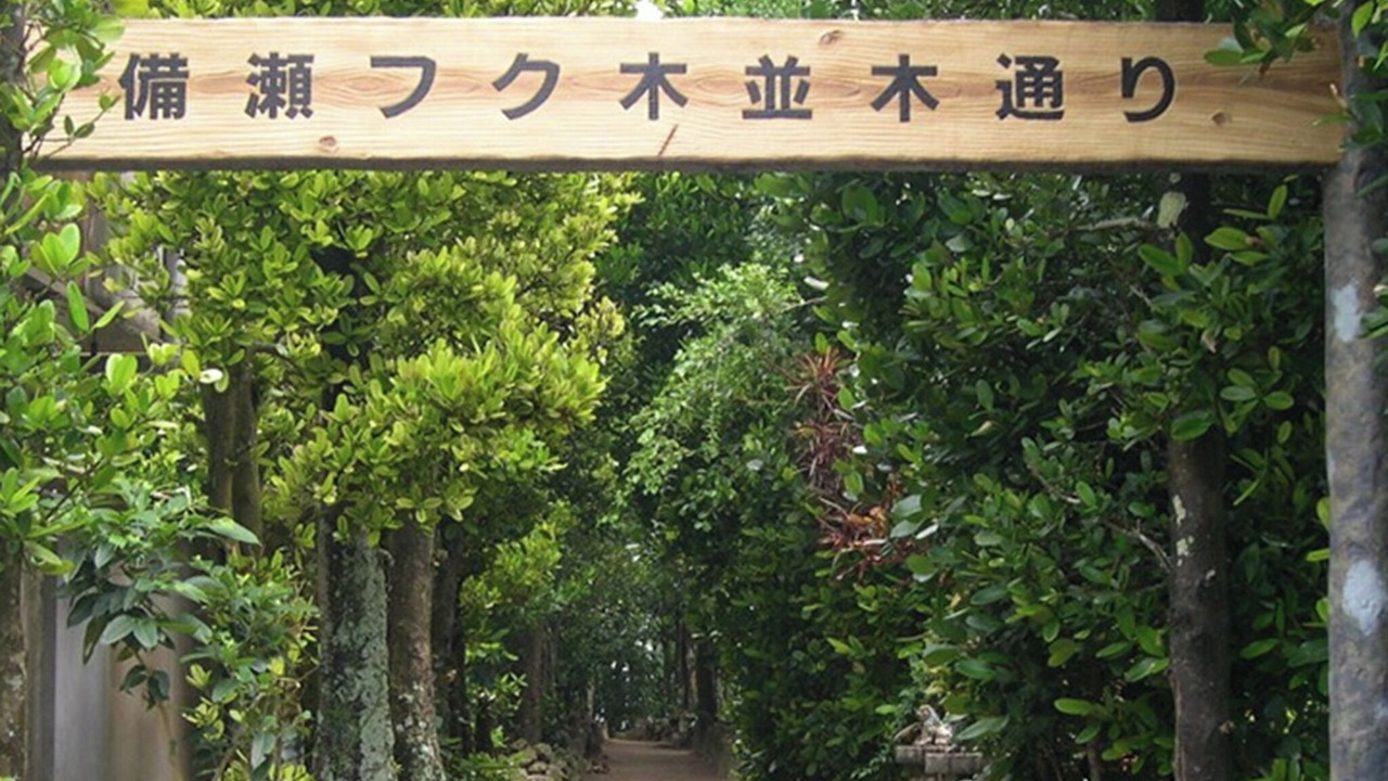 Photo of Others in Imadomari