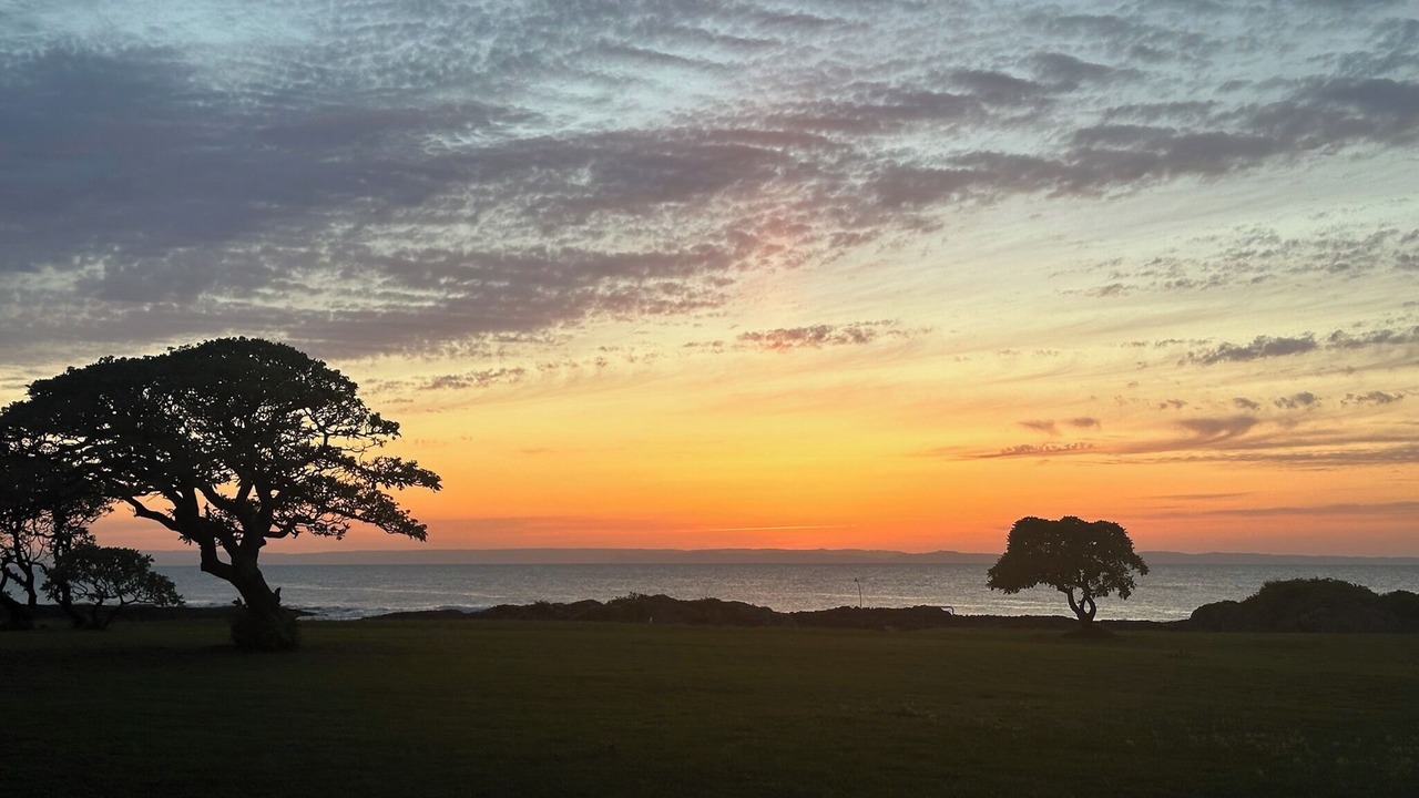 Photo of Others in Kikai Island