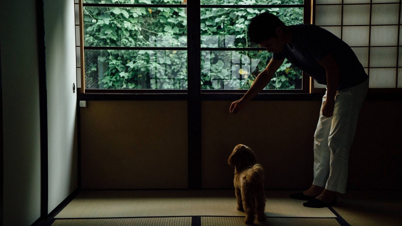 Photo of Others in Kanazawa