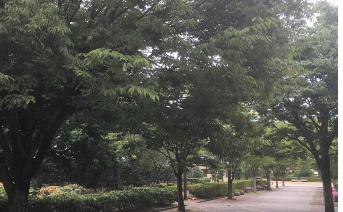 Photo of Outdoor in Kanazawa