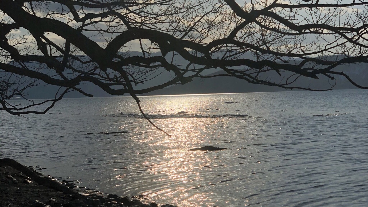 Photo of Outdoor in Teshikaga