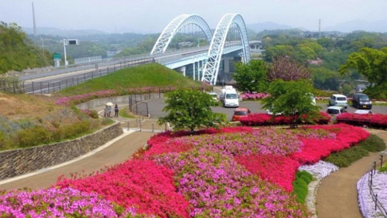 Photo of Others in Sasebo