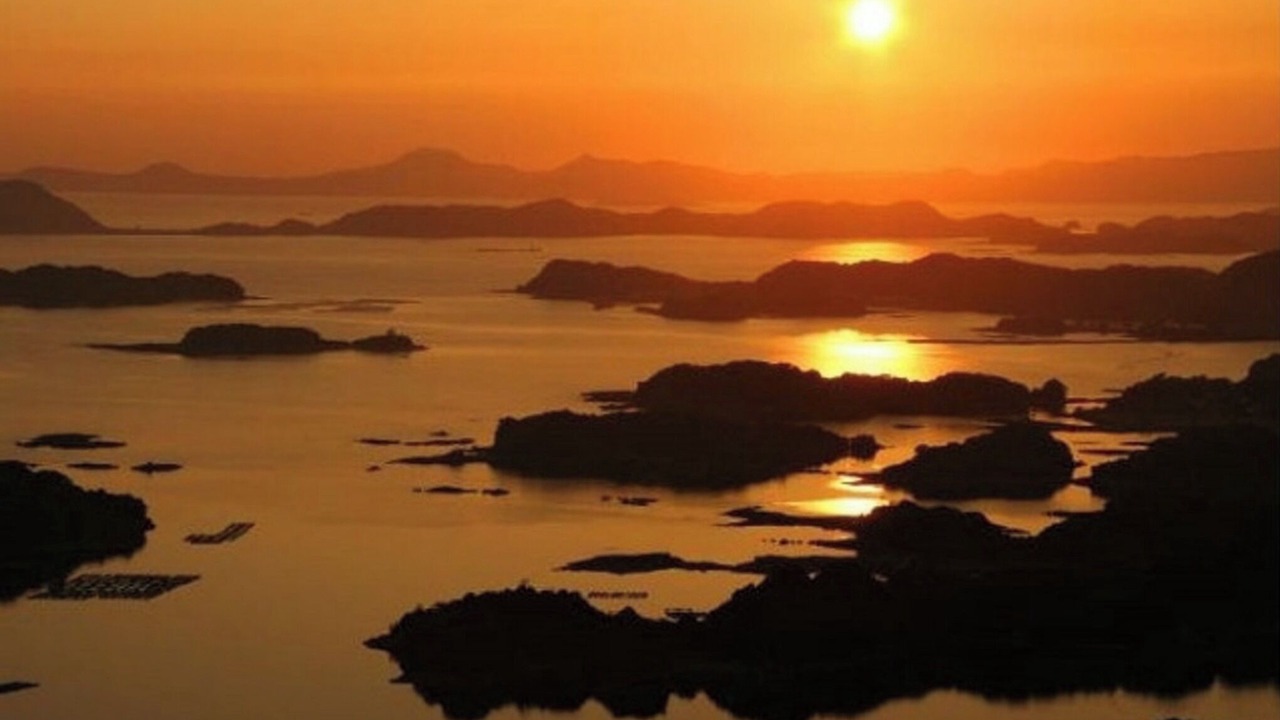Photo of Others in Sasebo