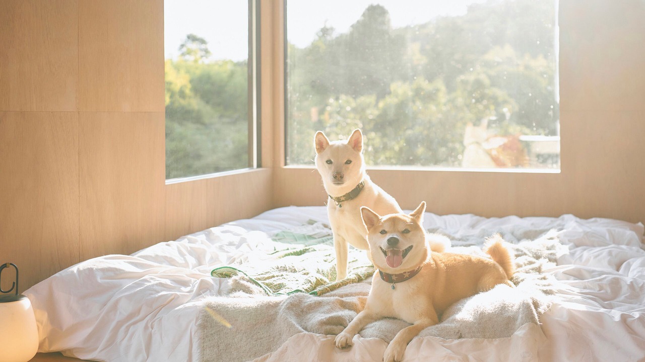 Photo of Bedroom in Tsumagoi