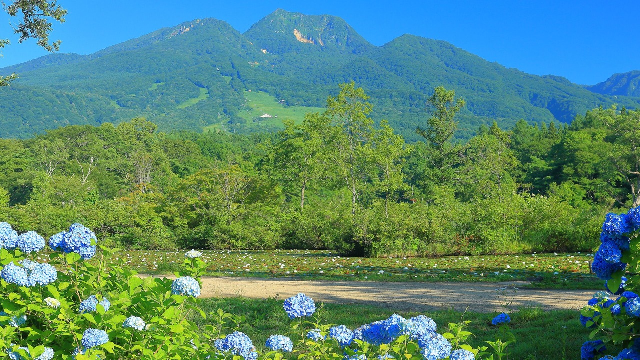Photo of Outdoor in Myoko
