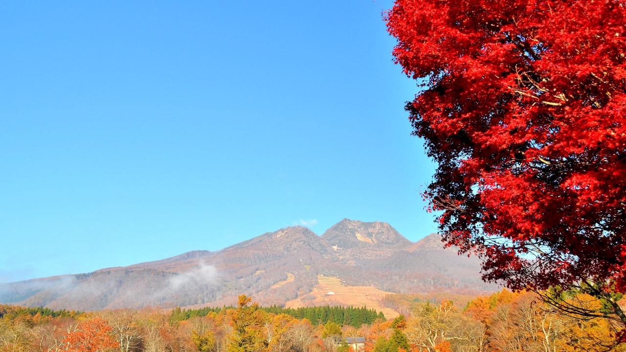 Photo of Outdoor in Myoko