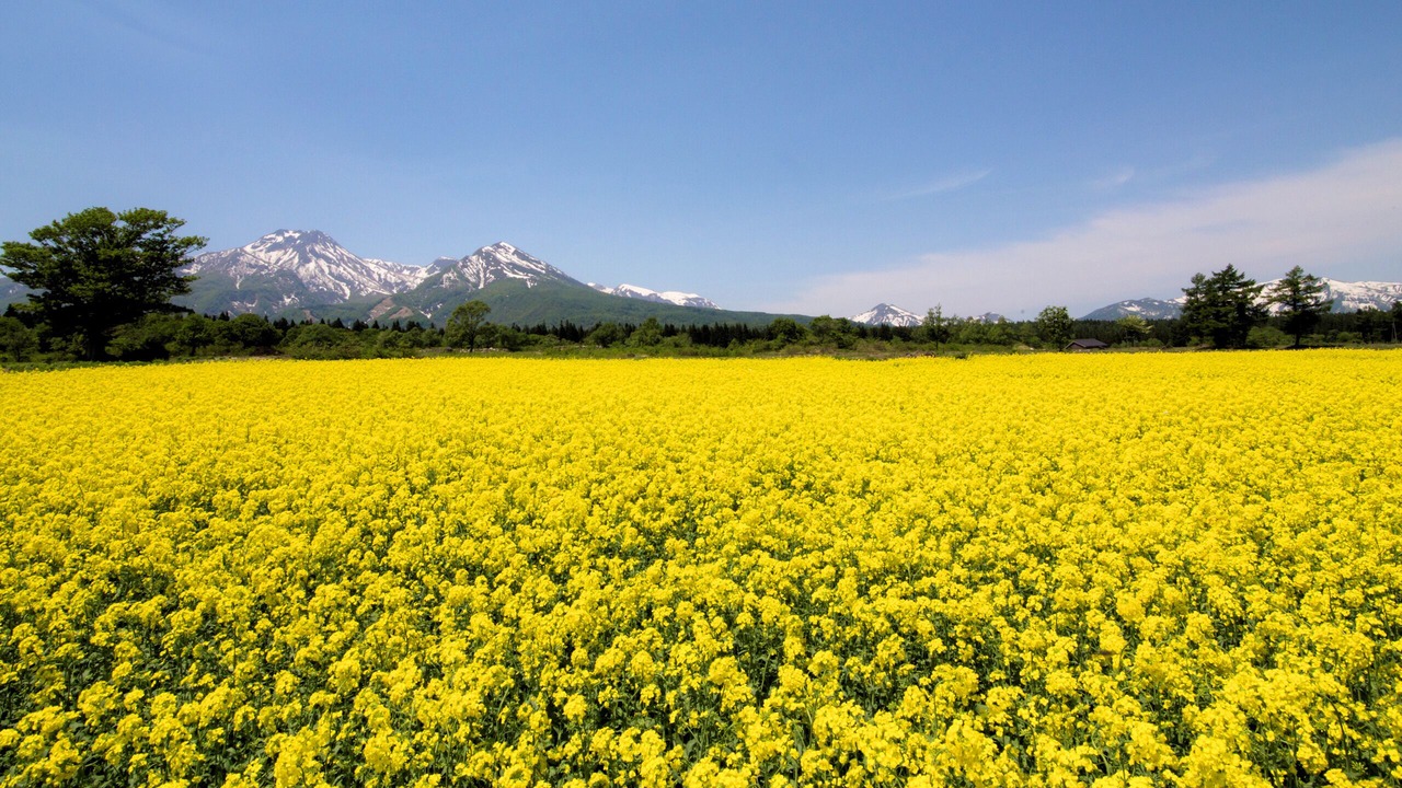 Photo of Outdoor in Myoko