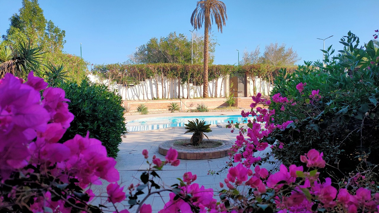 Photo of Outdoor in Al Mamsha El Seyahi