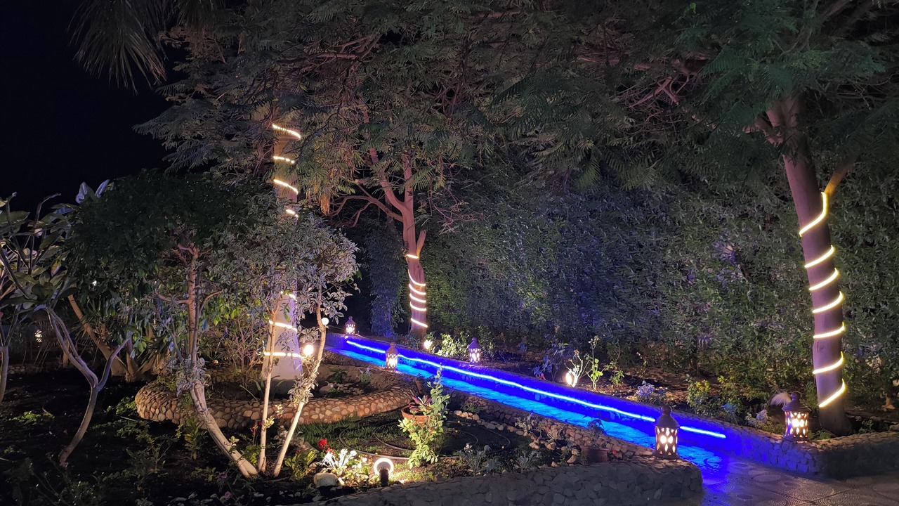Photo of Outdoor in Al Mamsha El Seyahi