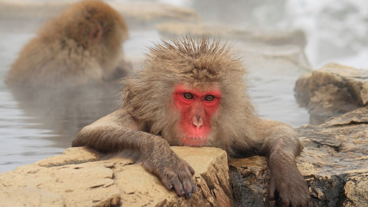 Photo of Others in Nagano