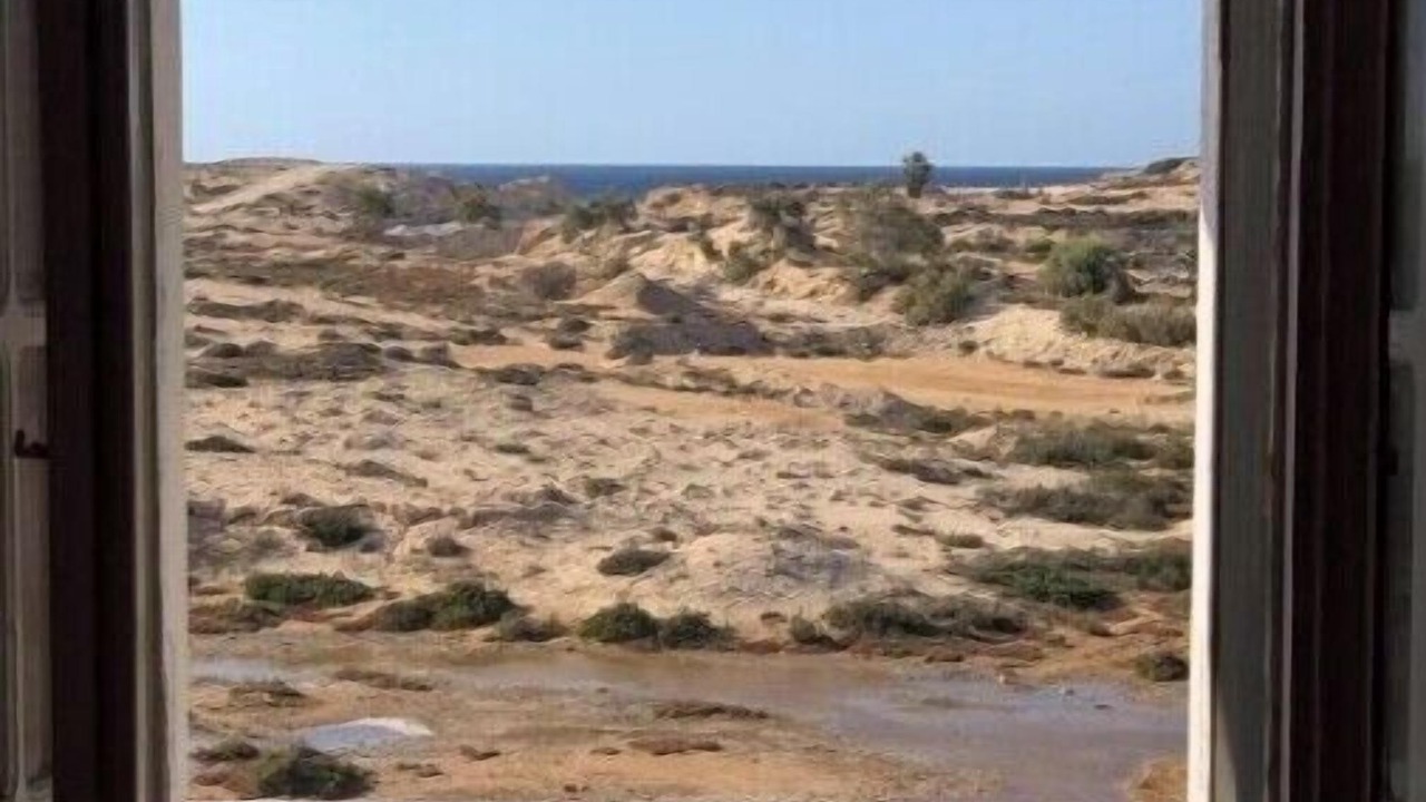 Photo of Others in Marsa Matruh