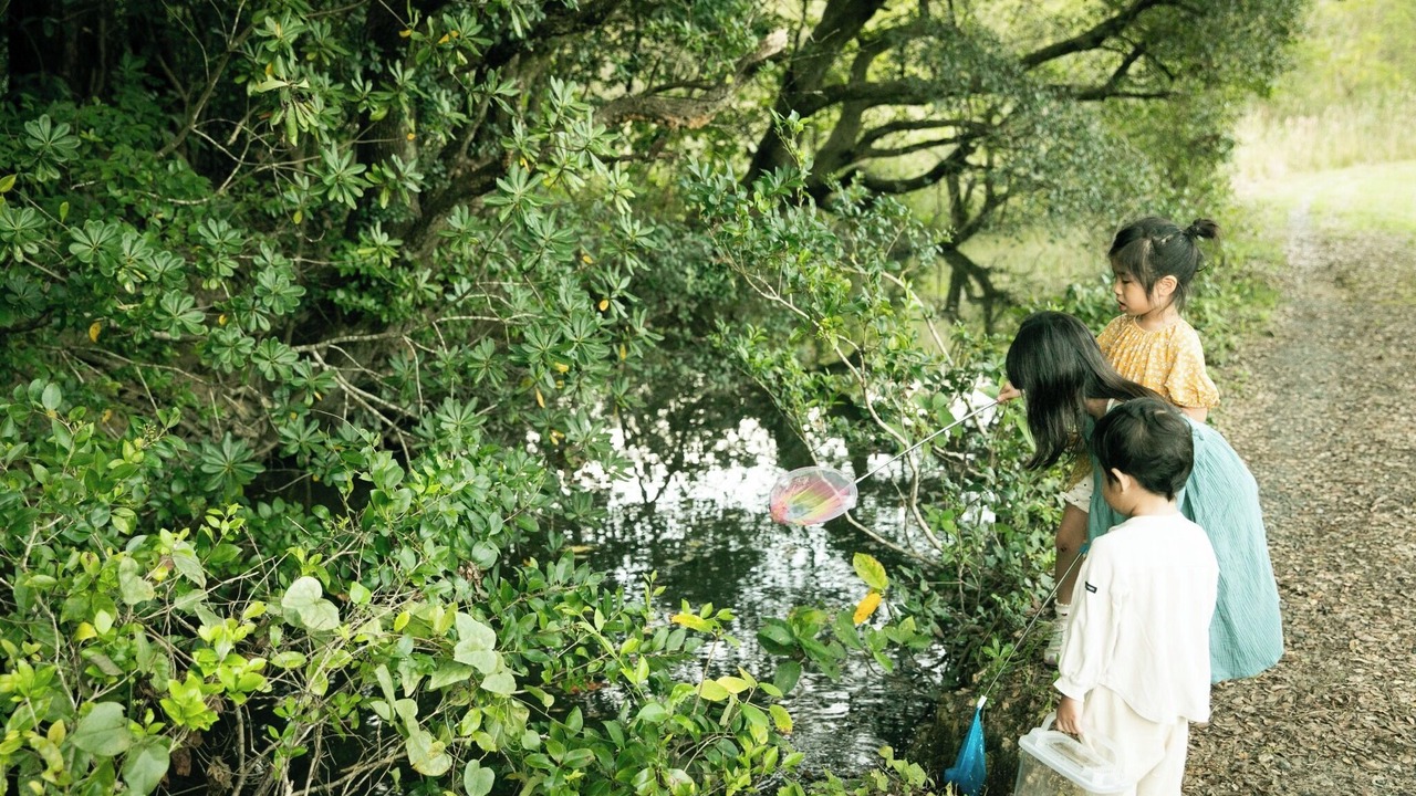 Photo of Others in Shima