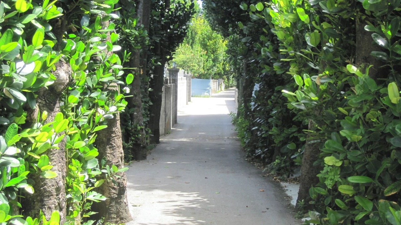 Photo of Outdoor in Imadomari