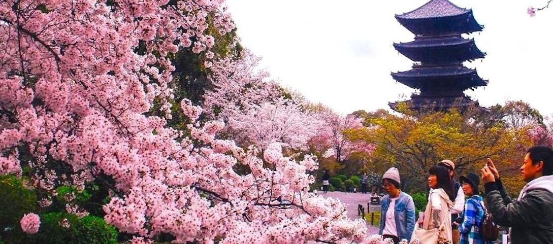 Photo of Others in Minami