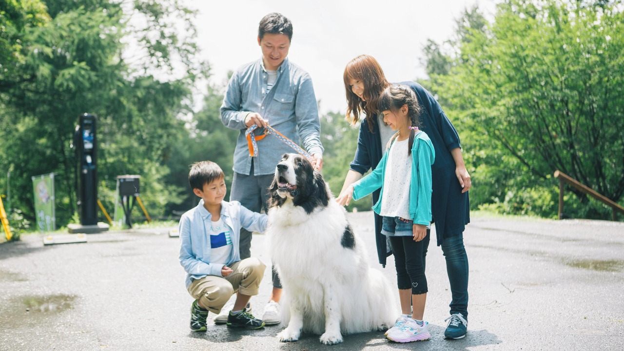 Photo of Others in Tateshina