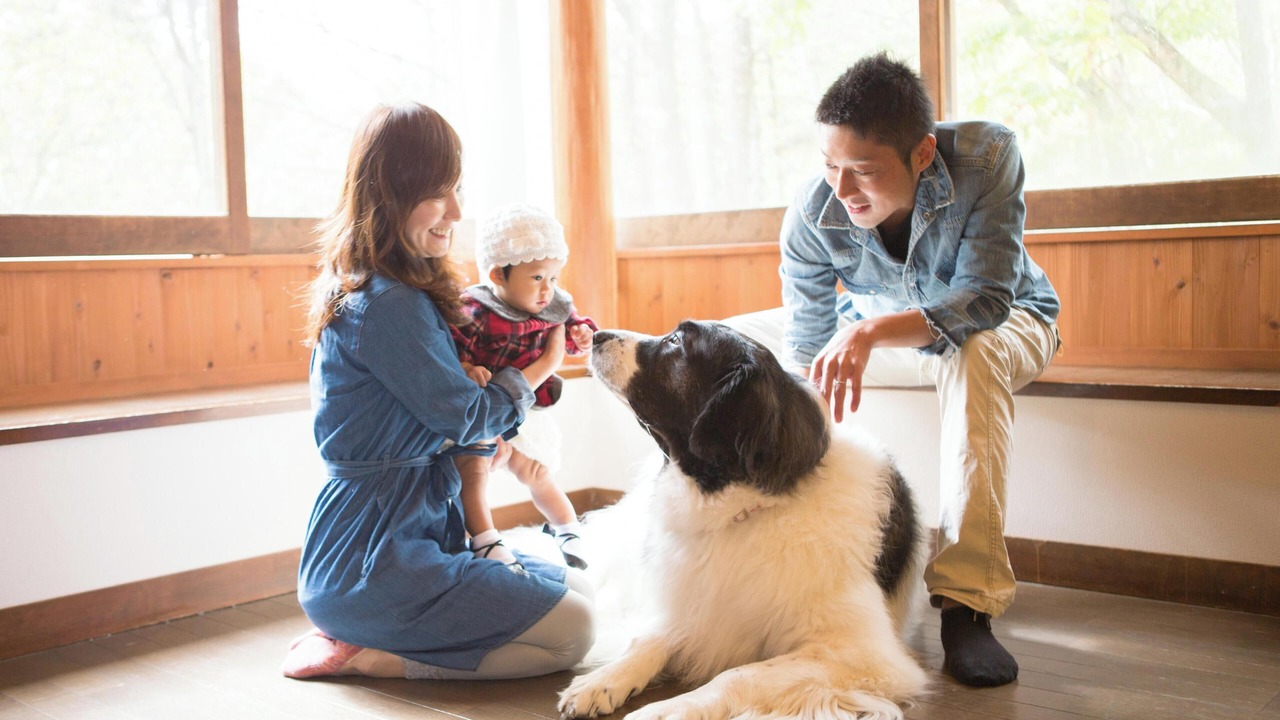Photo of Others in Tateshina