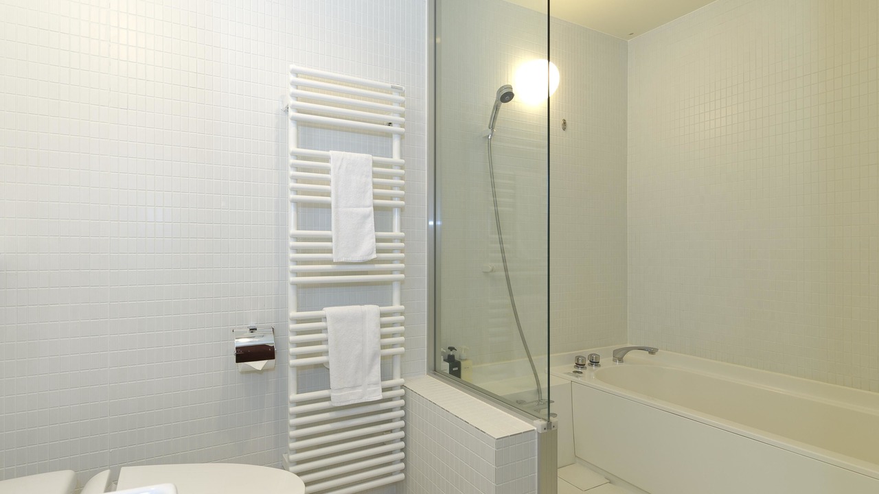 Photo of Bathroom in Hirafu