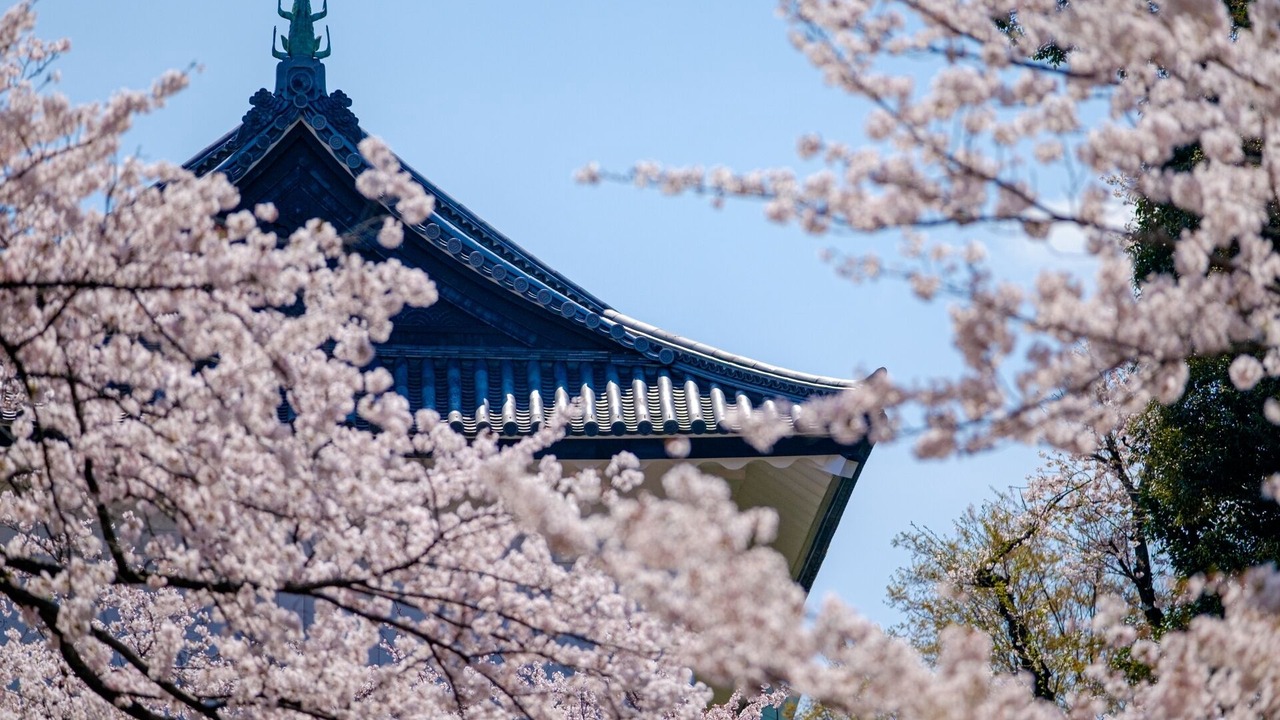 Photo of Outdoor in Chiyoda