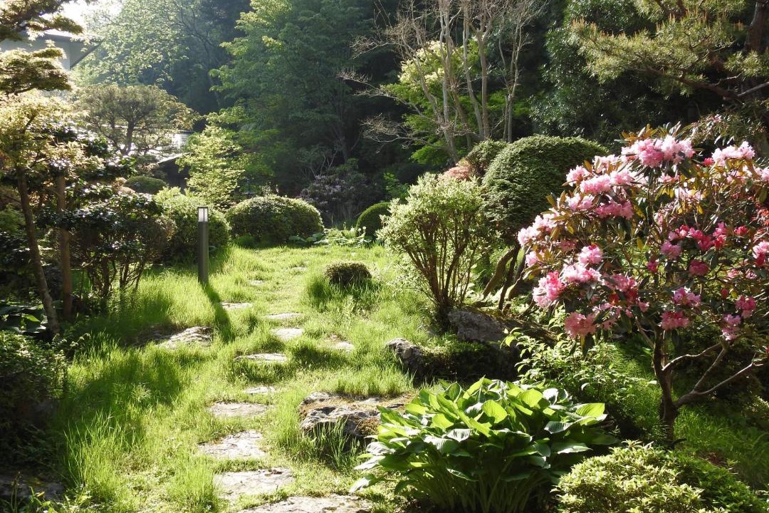 Photo of Outdoor in Koyasan