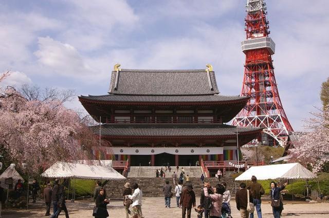 Photo of Others in Shiba