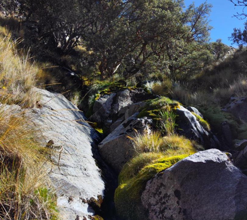 Photo of Others in Huaraz