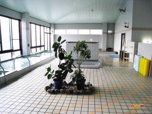 Photo of Others in Yatsushiro