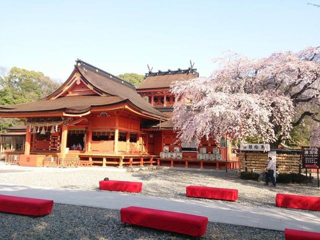 Photo of Others in Fujinomiya