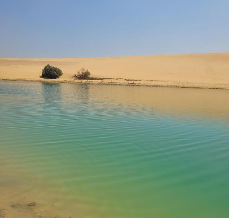 Photo of Others in Al Fayoum