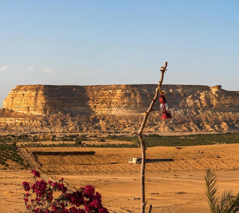 Photo of Others in Siwa