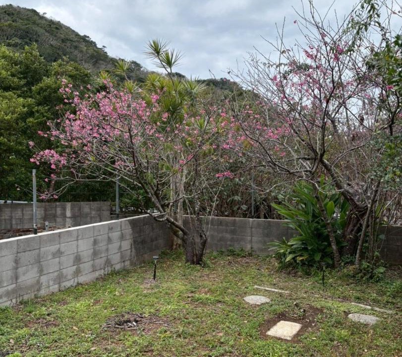 Photo of Others in Imadomari