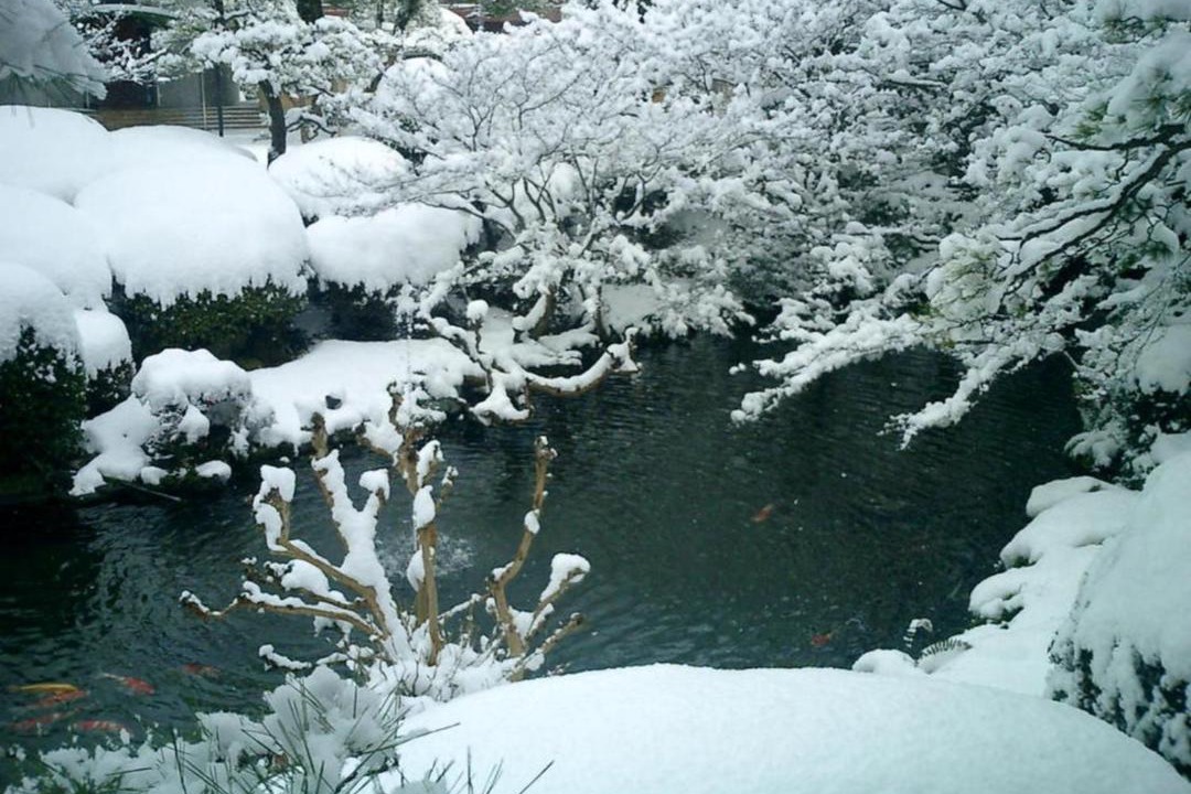Photo of Others in Kurume