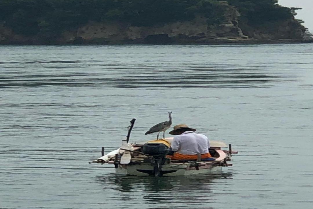 Photo of Others in Imabari