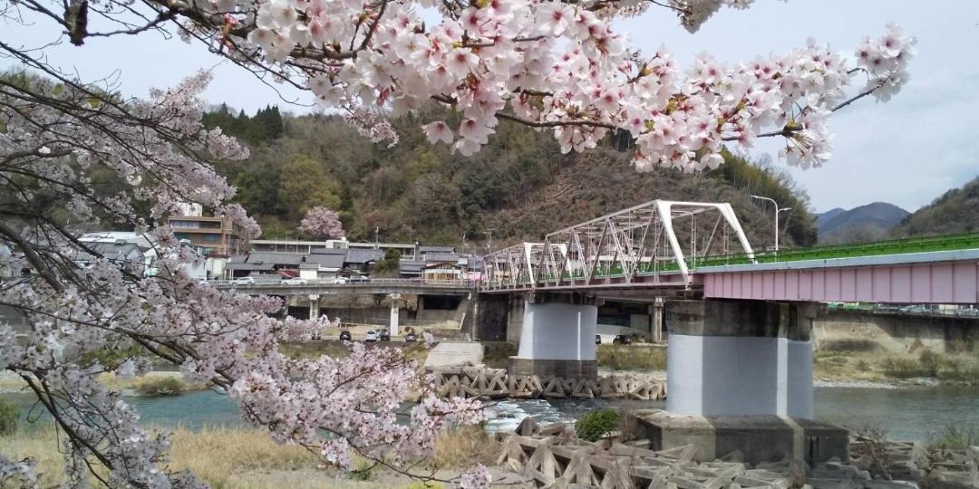 Photo of Others in Yoshino