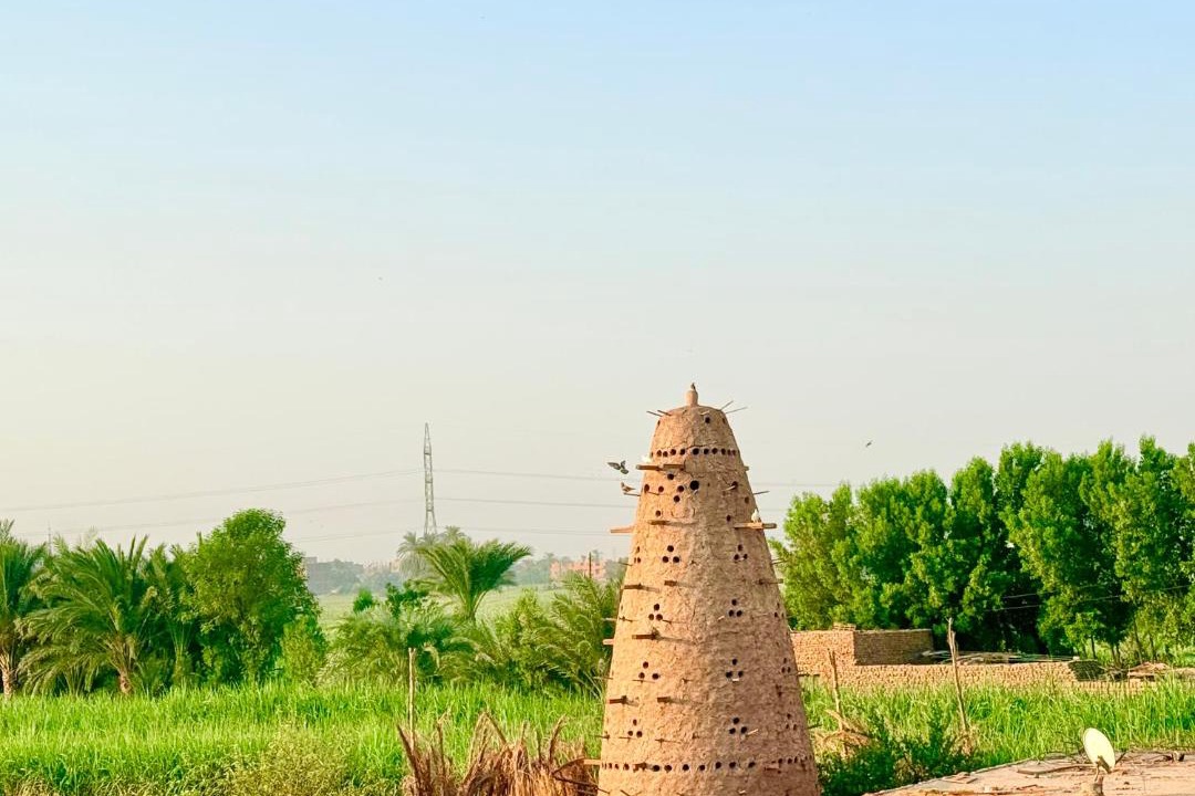 Photo of Others in Luxor