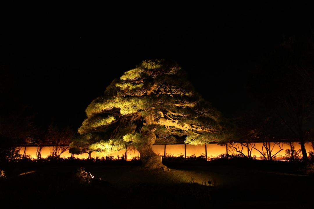 Photo of Others in Isawa Onsen