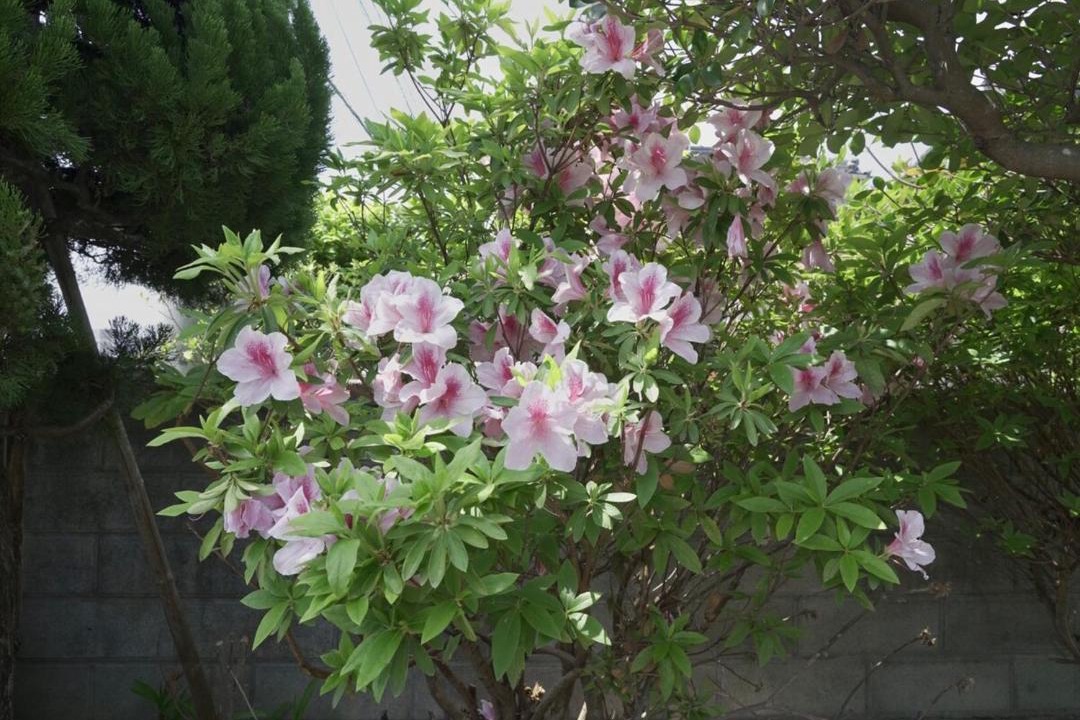 Photo of Outdoor in Nagato