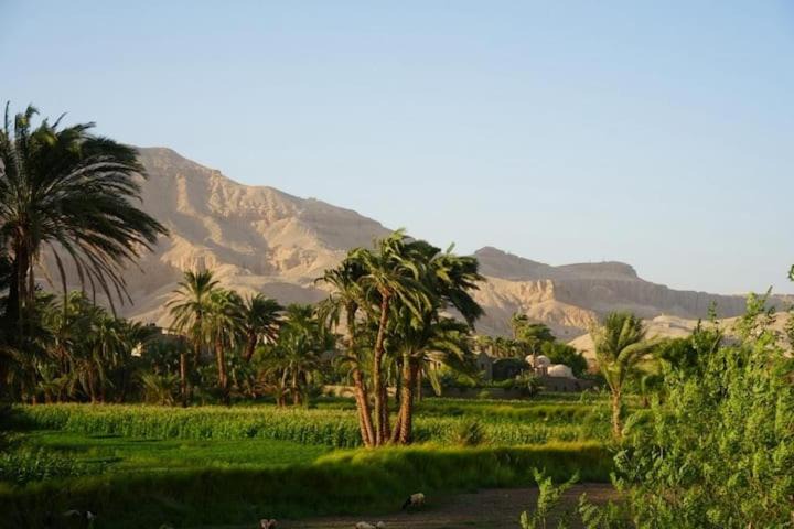 Photo of Others in Luxor