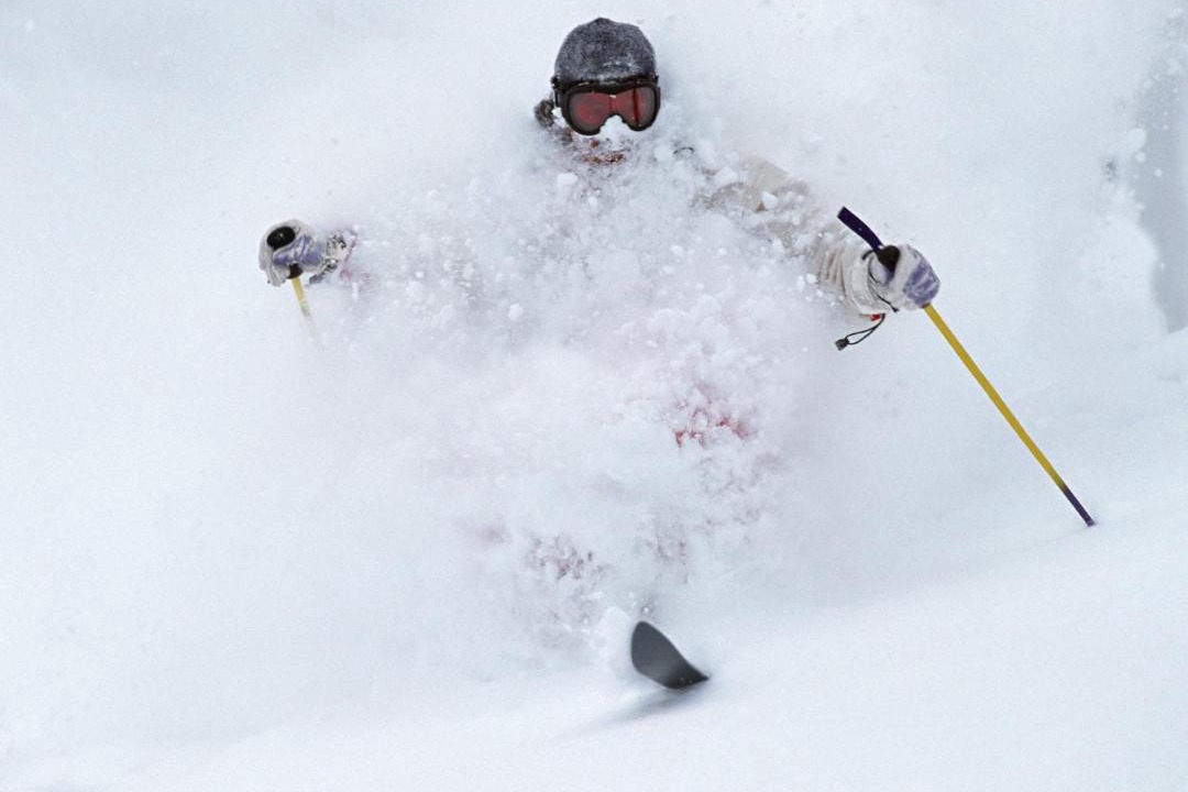 Photo of Others in Niseko