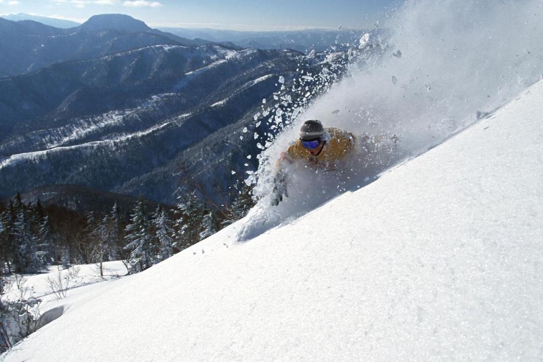 Photo of Others in Niseko