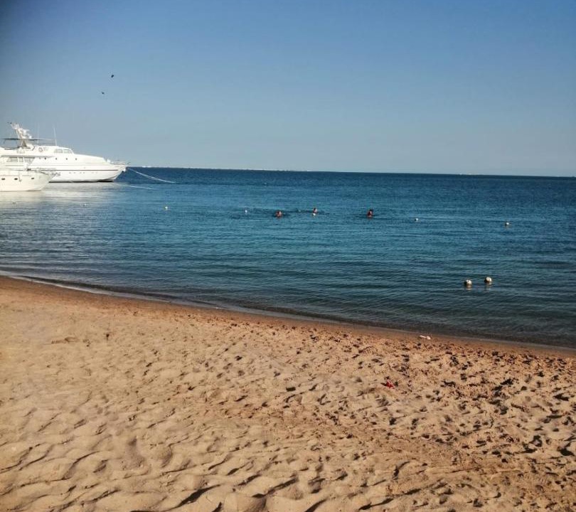 Photo of Others in Al Mamsha El Seyahi