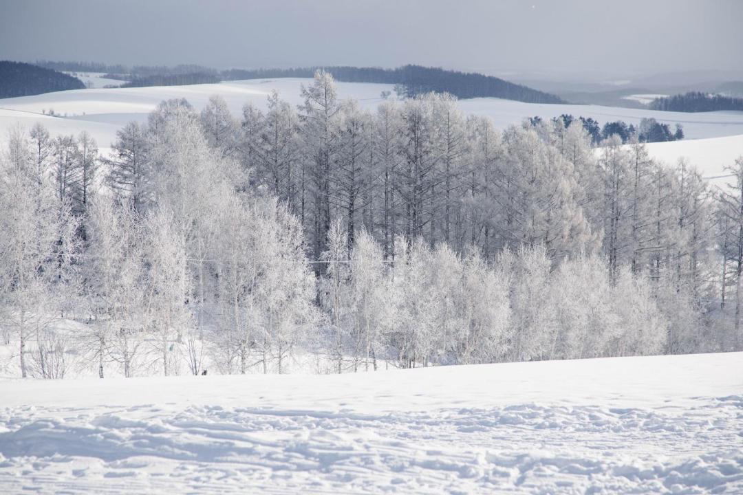 Photo of Others in Biei
