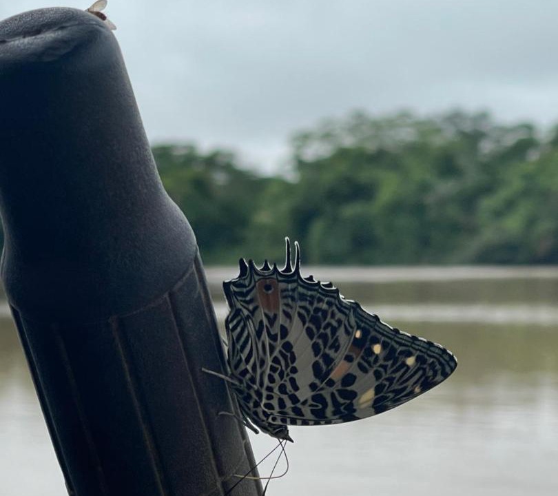 Photo of Others in Puerto Maldonado