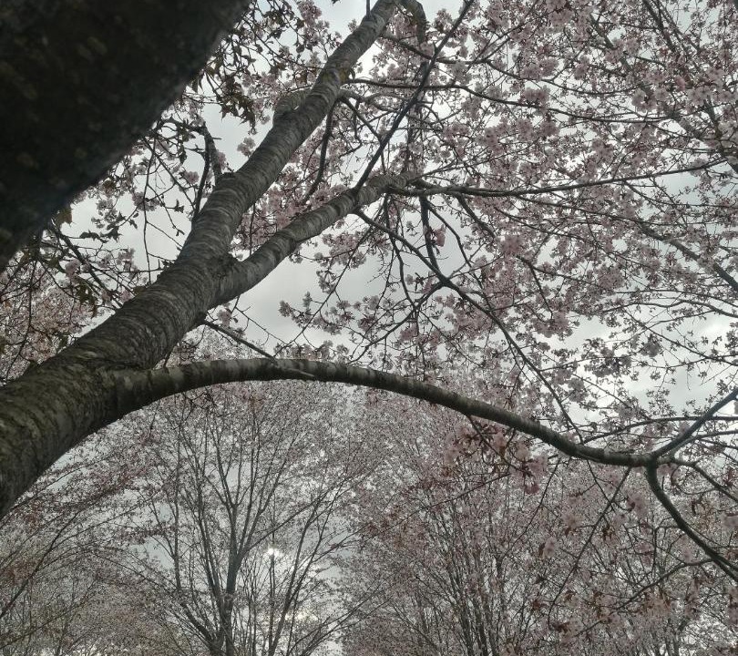 Photo of Others in Takasu