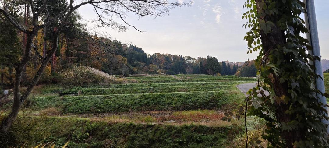 Photo of Others in Tokamachi