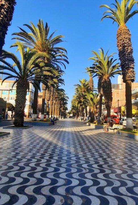 Photo of Others in Tacna